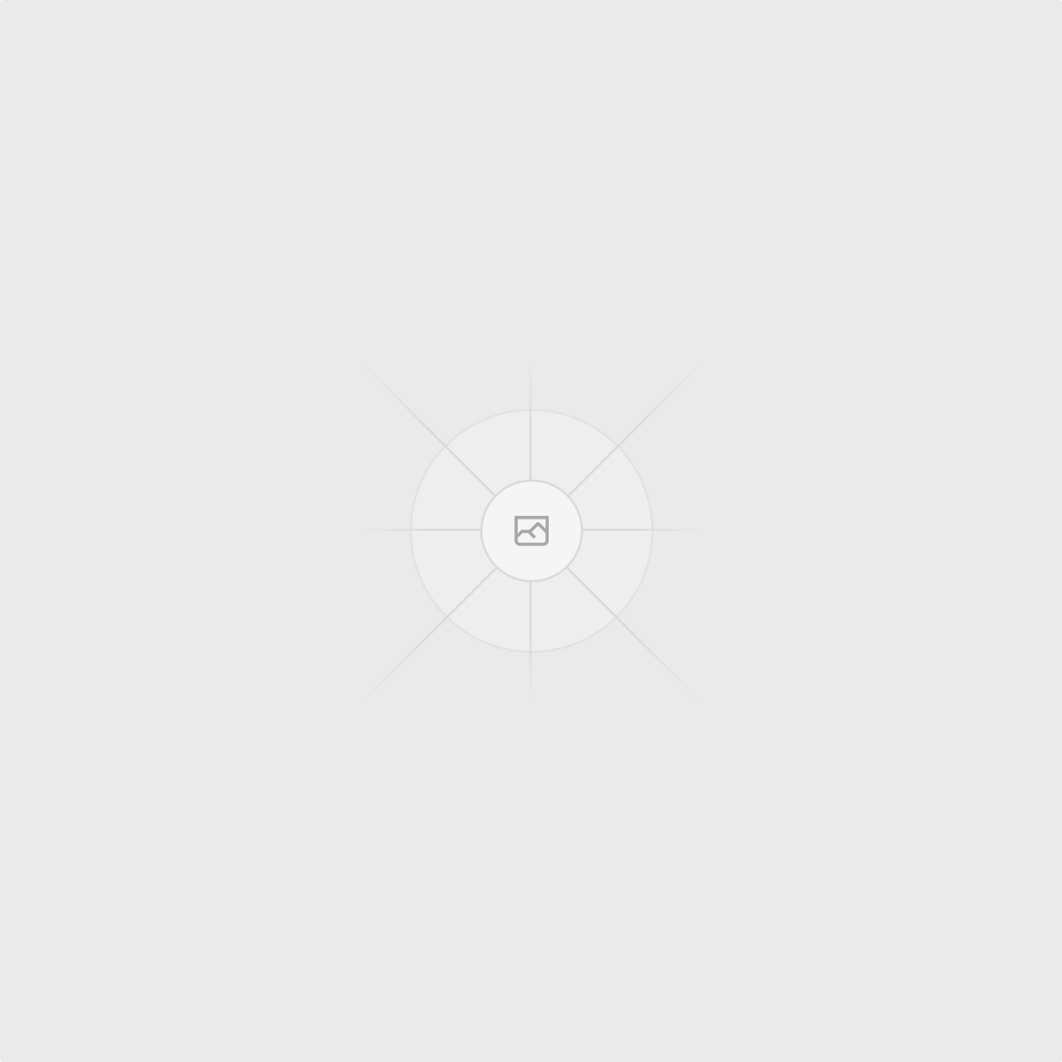 A seal of Swiss Quality Engineering, representing the high standards of BitBox products.